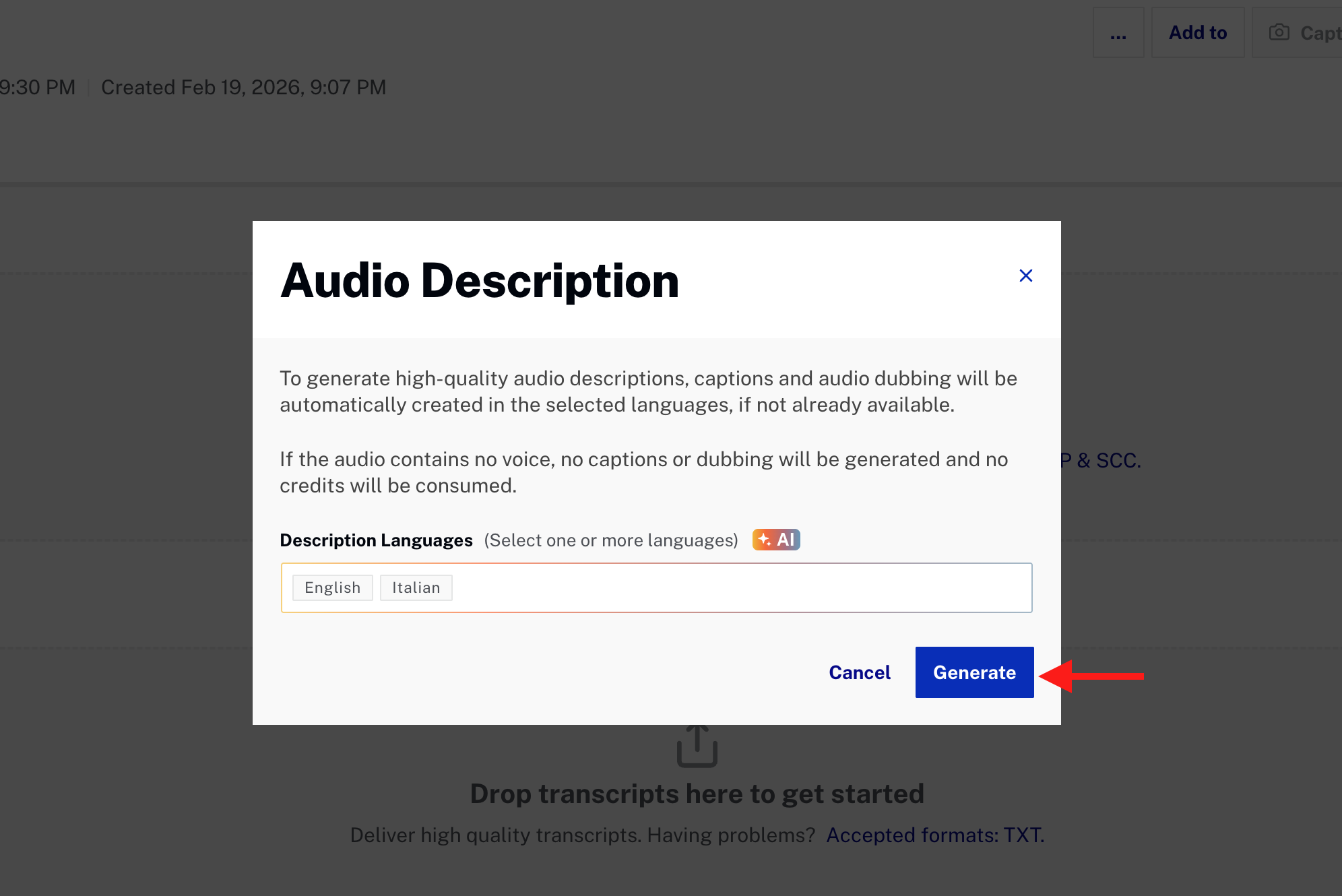 Video Details - Generate audio description