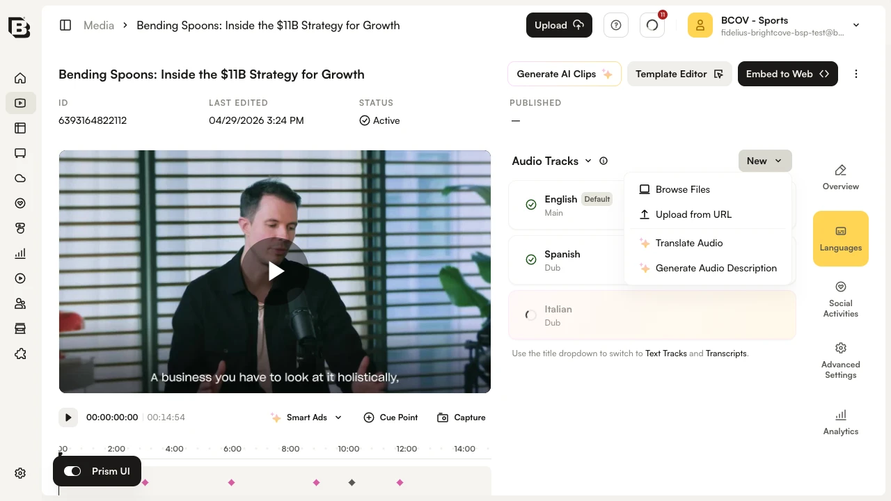 Video Details - Generate audio description