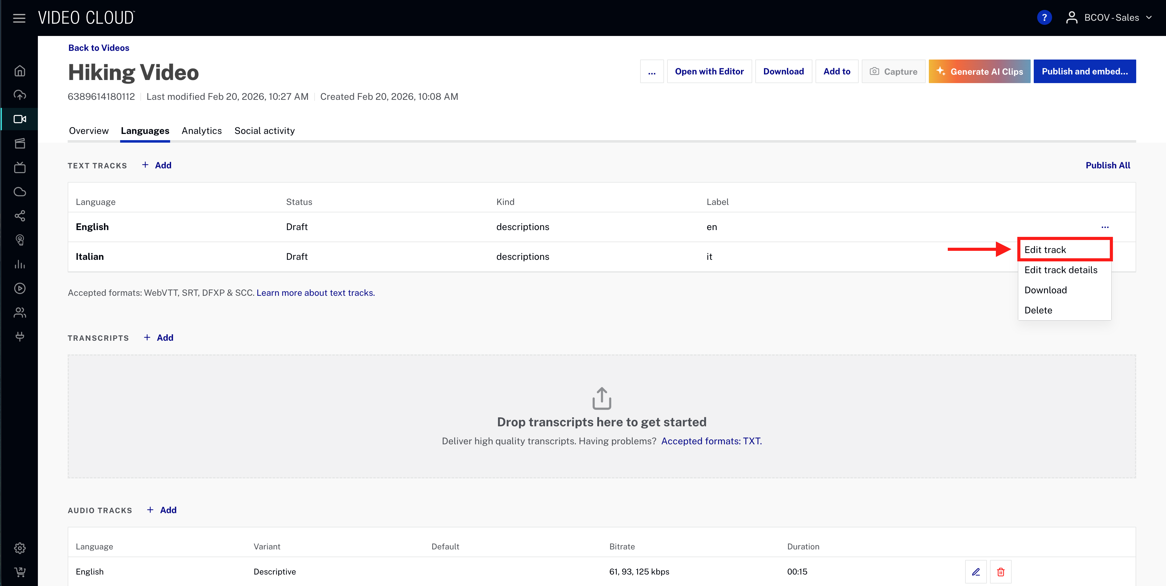 Text tracks - edit the track of kind Descriptive
