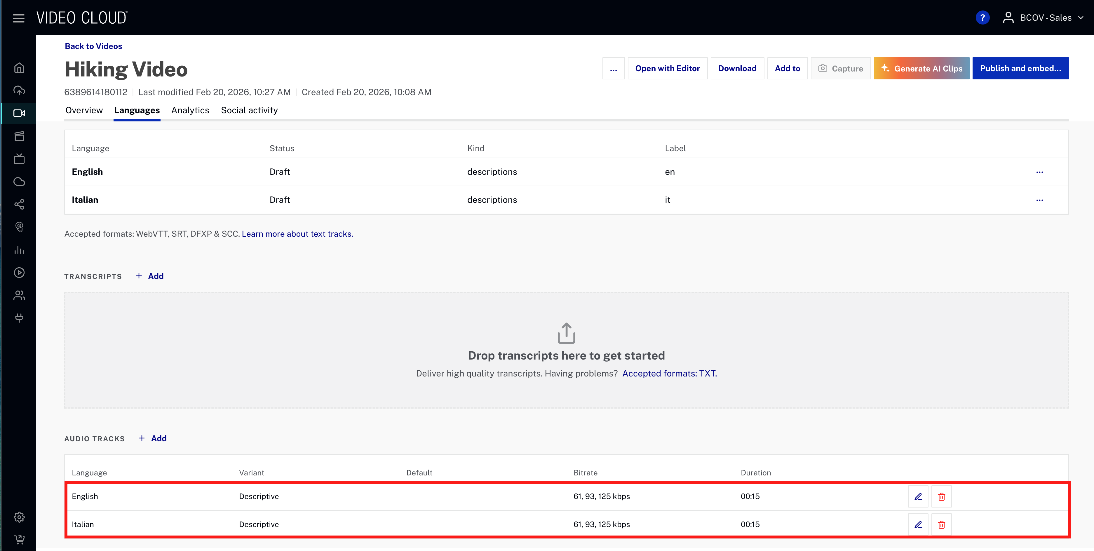 Audio tracks with variant Descriptive