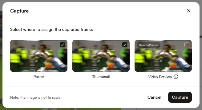 Capture dialog with Poster, Thumbnail, and Video Preview assignment options