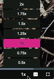 Playback rates menu on the player
