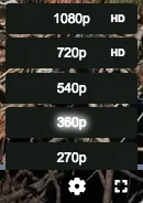 Quality selector menu showing resolutions