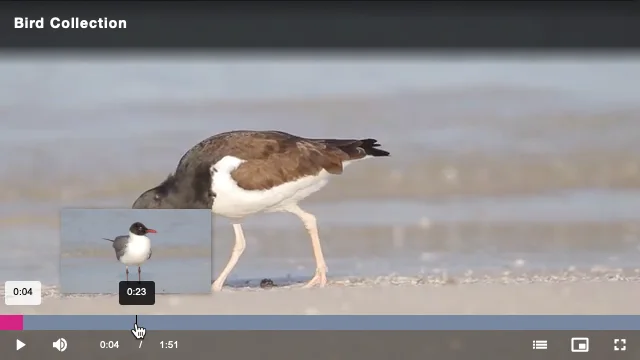 Thumbnail preview above the progress bar