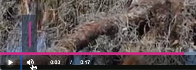 Vertical volume slider on the player