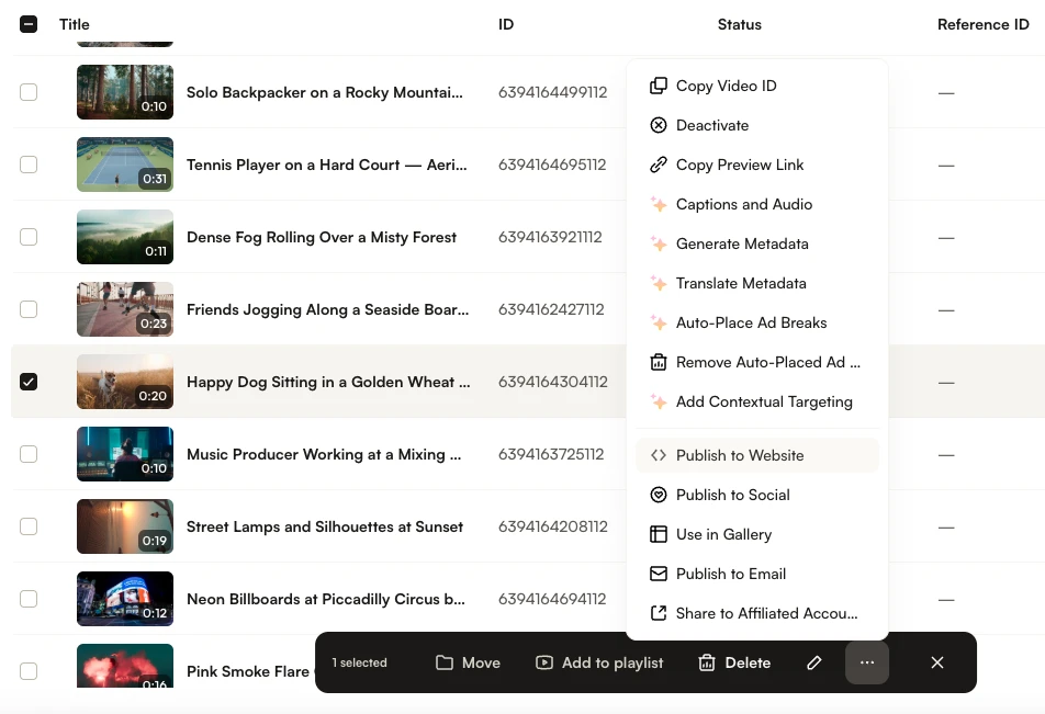 Three-dot menu showing Publish to Website option